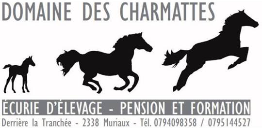 Domaine des Charmattes | Écurie d'élevage - Pension et formation